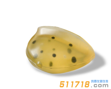 美國CIRS 013胸部體模