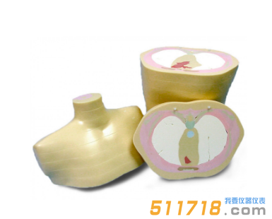 美國CIRS 600 3D軀干模體