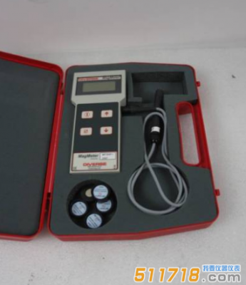 英國DIVERSE MF300Fe+鐵素測量儀