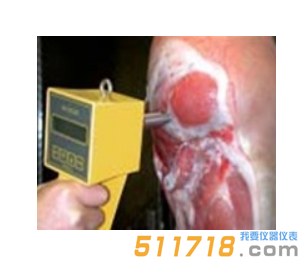 德國(guó)MATTHAUS PH-STAR胴體肌肉PH值直測(cè)儀