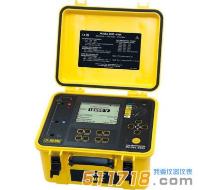美國AEMC 6555便攜式兆歐表