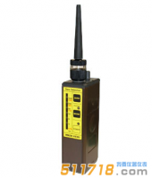 日本理研SP-210泵吸式可燃氣體檢測儀