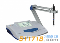 上海雷磁 DWS-51型鈉離子計