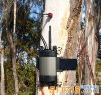 澳大利亞ICT SFM1 Sap植物莖流計