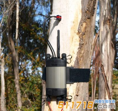 澳大利亞ICT SFM1 Sap植物莖流計