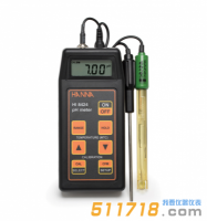 意大利HANNA(哈納) HI8424/HI991000便攜式酸度計(jì)